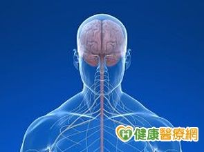 失智症新疗法 雷帕霉素减少额颞叶退化 | ETtod