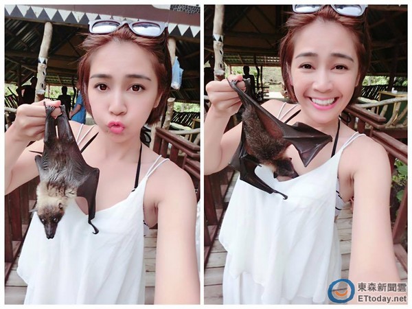 蝙蝠头钻「胸器」!安苡爱羞喊:我要把它抓去关