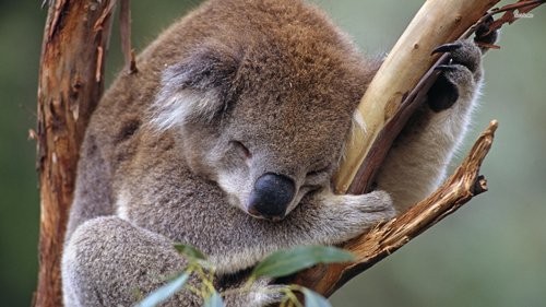 source:kenya | beauty places source:uncle betty explains it all