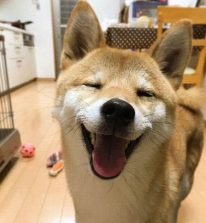 教教我们如何笑得这麼好看～有如阳光女孩般的笑脸柴柴