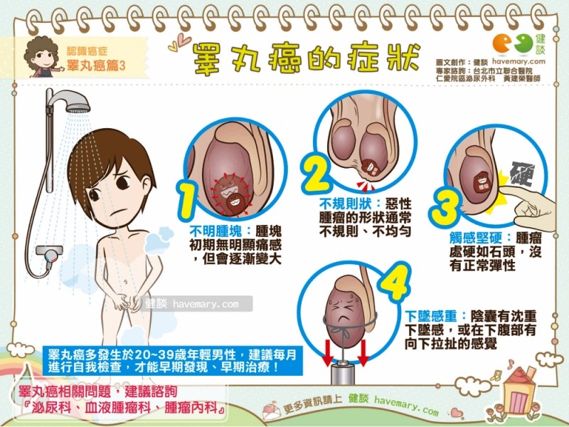 硬如石? 睾丸癌「4大症状」男人必学自摸