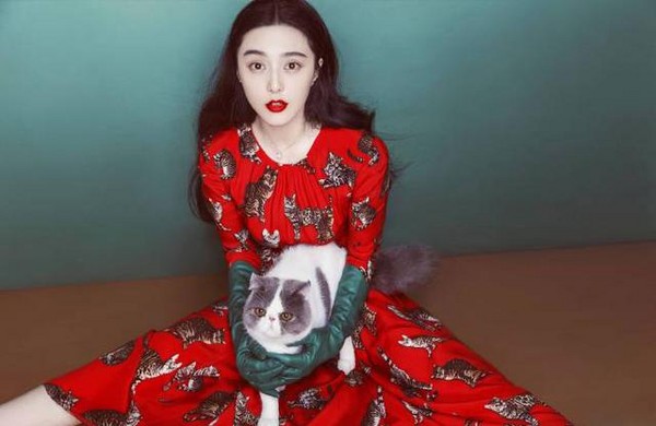 猫奴范冰冰偷改「喵皇洋装」长度 撞衫baby比美