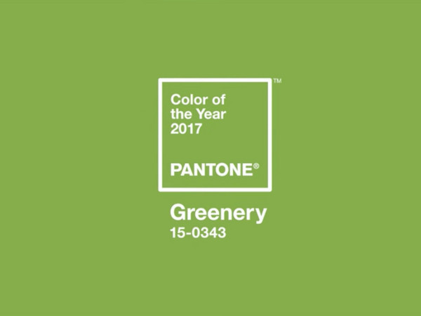 pantone公布2017年度色彩! 「草木绿」盼带来希望