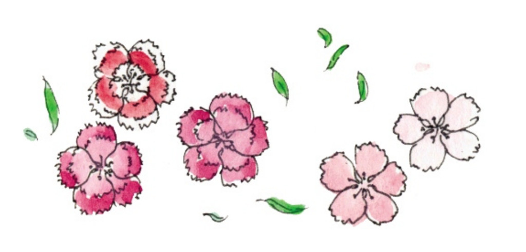 过年鲜花买一堆 开工前拿去「微波」就变美丽乾燥花