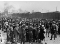波蘭撇清大屠殺…立法禁說「波蘭死亡營」　以色列氣瘋！