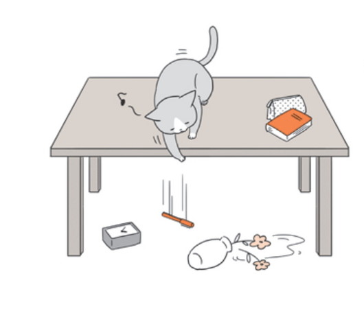 喵星人为何总爱推东西落地? 原来…看主人慌张比较有趣