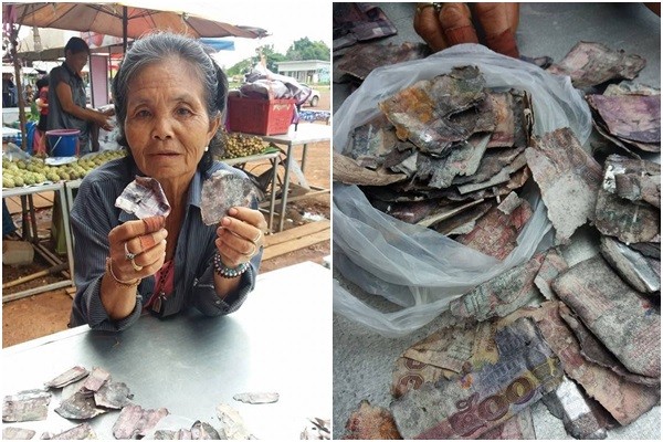▲泰國阿嬤把積蓄埋在後院結果忘了，鈔票全部爛成碎片。（圖／翻攝自泰國網）