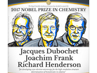 快訊／研究冷凍電子顯微鏡　瑞士、美、英3學者獲諾貝爾化學獎