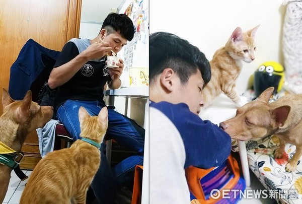 爸爸低头吃饭 healer「馈大腿」卖萌:真的不分我一口?