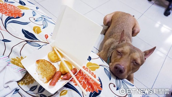 爸爸低头吃饭 healer「馈大腿」卖萌:真的不分我一口?