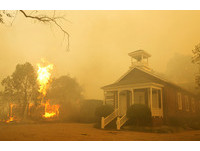 加州野火延燒8郡！酒鄉納帕也遭殃　2萬人緊急撤離