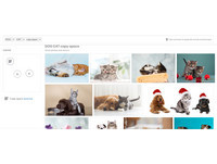 Shutterstock新測試功能！AI判別物件位置搜圖