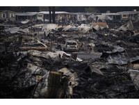 電線杆倒塌釀災！　加州大火燒毀5700棟建築「只剩灰燼和骨頭」