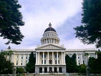 咬牙強忍「揉胸摸臀」　加州議會150女控訴職場性霸凌