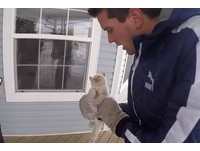 家門前撿到「小雪球」！全家動員急救　凍壞小貓終於有了呼吸