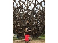 2017桃園國際漂流木藝術節　邀您一起發現作品的小秘密