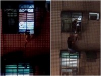女童卡鐵窗哭喊...外籍勇男身分曝光　爬4樓救人後「低調離開」