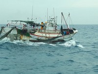 距岸12浬內作業　台南海巡隊查獲違規拖網漁船