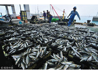 官員說好的解除漁業黃牌呢？
