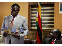 辛巴威軍方「擼」穆加比下台　副總統已返國準備接位
