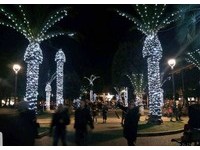 聖誕燈掛棕梠樹「起立大噴發」　義大利小鎮：想讓大家振作