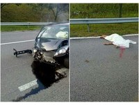 離奇失控自撞分隔島！22歲女駕駛噴出車外　遭標示牌鐵片割斷頭亡