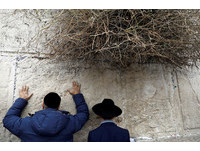 連4年嚴重乾旱！　以色列發動哭牆「千人祈雨大會」