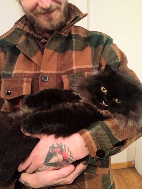 别被我吓著!「吸血鬼猫」有倒钩獠牙 内心胆小温柔