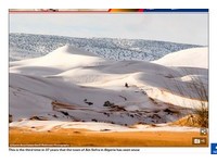 白雪蓋黃沙！撒哈拉沙漠40年3度降雪　部分地區積雪40cm