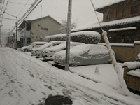 東京暴雪怎麼來的？　3種自然現象創造「大雪方程式」