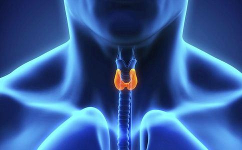 吃饭大笑「一只虾」钻进气管险致命 医惊:连头带尾7公分