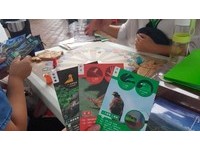 環境教育怎麼玩？　來自獅潭鄉的生態桌遊「蜥蜴大冒險」