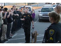 40多名警消「列隊敬禮」送骨癌警犬最後一程　訓練員不捨淚崩