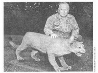 最後目擊在1938！東部美洲獅「消失80年」　宣布絕種