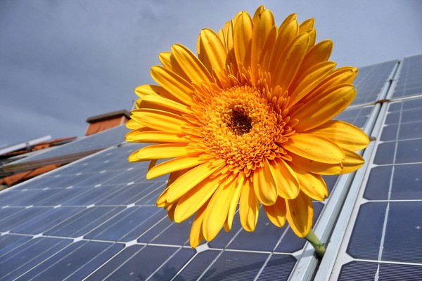 ▲▼太陽能板,綠能,太陽光電產業。（圖／Pixabay）