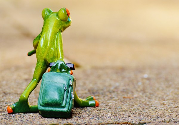 ▲▼青蛙旅行。（圖／Pixabay）