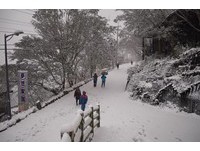 「14年最長寒潮」急凍全台！高山下雪交通管制懶人包看這　