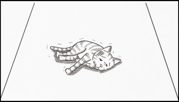 ettoday宠物云 宠物 猫咪虽然无奈,但它仍然每天留下讯息,希望主人