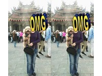 三峽祖師廟前拍家人！她看到超明顯「狗頭」發問　網驚：還有2個