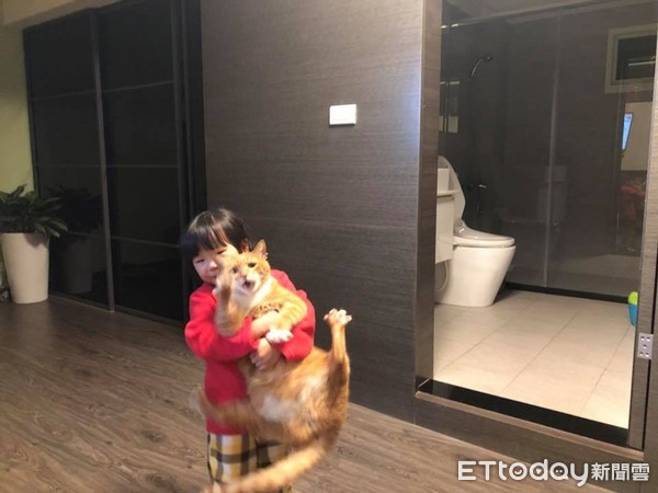 (图/网友penny lee提供)