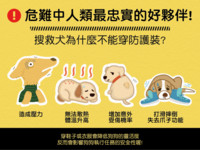 搜救犬「光腳救災」讓人好心疼？　不穿防護衣4大原因！