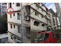 貓咪受困5樓住宅外牆3天　獲救後好心媽收編：牠很乖～