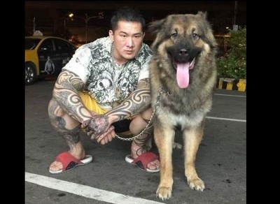 館長愛犬又傷人見血　她道破真相：養狗不是養金魚