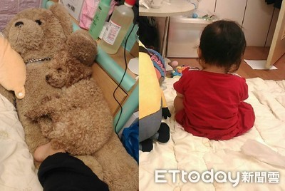 顧小孩好累！紅貴賓躺熊「隱身午睡」　妹滿房爬找不到