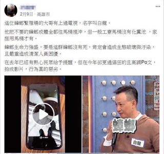 看數萬蟑螂馬桶掙扎大笑！網砲轟變更猖狂　「蟑螂王」怒揭真相