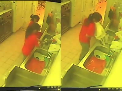愛貓送洗慘死！水槽「拉尾灌水」畫面曝光　店家：送你1隻類似的