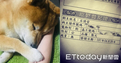 幫愛犬改晶片資料　媽看到「品種欄」茫然：我養了5年獒犬？