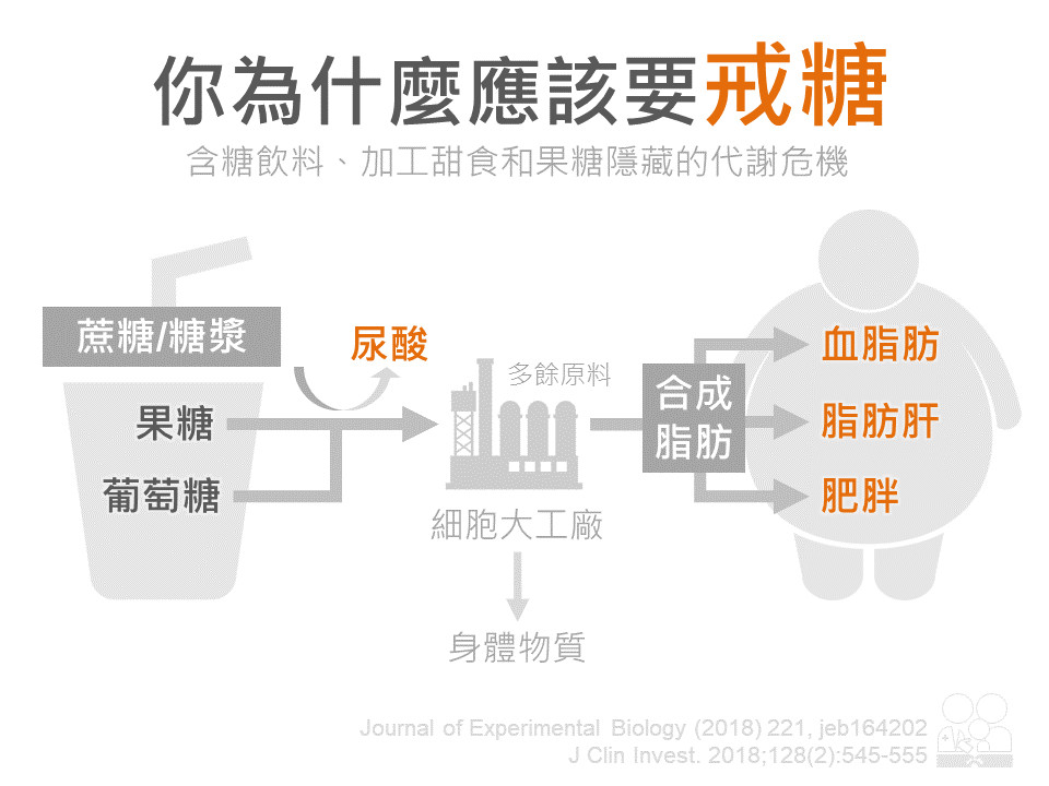 一張圖破解「你為什麼該戒糖」？（圖／秒懂家醫科授權提供）