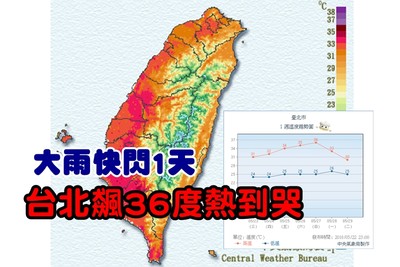 白蟻沖天！鋒面大雨快閃1天…「飆溫36度↑」台北周末熱到哭