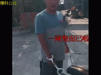 爽當「母豬騎士」被上銬！老闆逼問影片曝光　他羞：一兩隻而已啦
